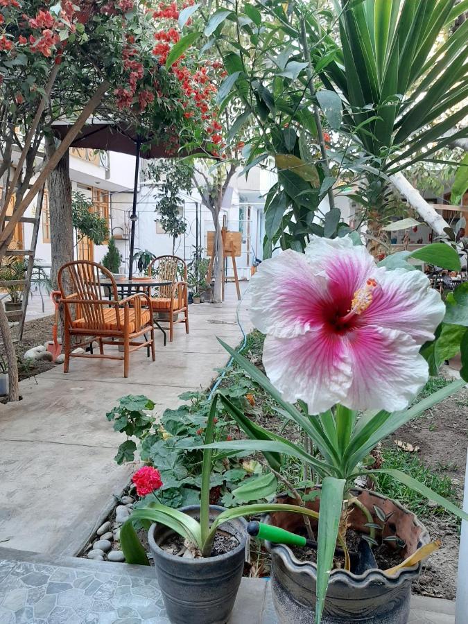 El Huerto Hostel Ica Luaran gambar